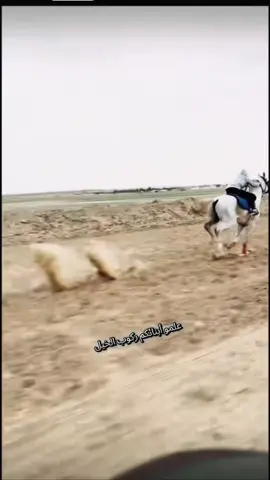 خيل وخيالة#خيل_وخياله🐎 #الجزائر🇩🇿 #fyp#capcut #السعودية🇸🇦  @رائد العوفي ابوجود 