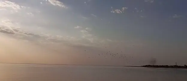 عشقت حبيب خدعني ❤️‍🩹#رحمه محسن  #السعوديه_الرياض_حايل_جده_القصيم_بريده #تصميم_فيديوهات🎶🎤🎬 #foryou #fyp 