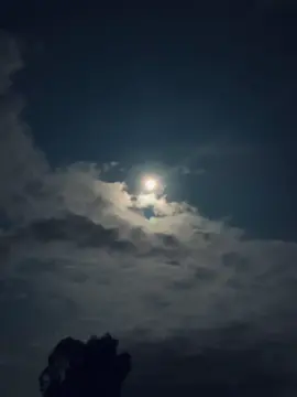 এখনো হয়নি রাত!  আকাশে কত যে তারা..!!🌕💫
