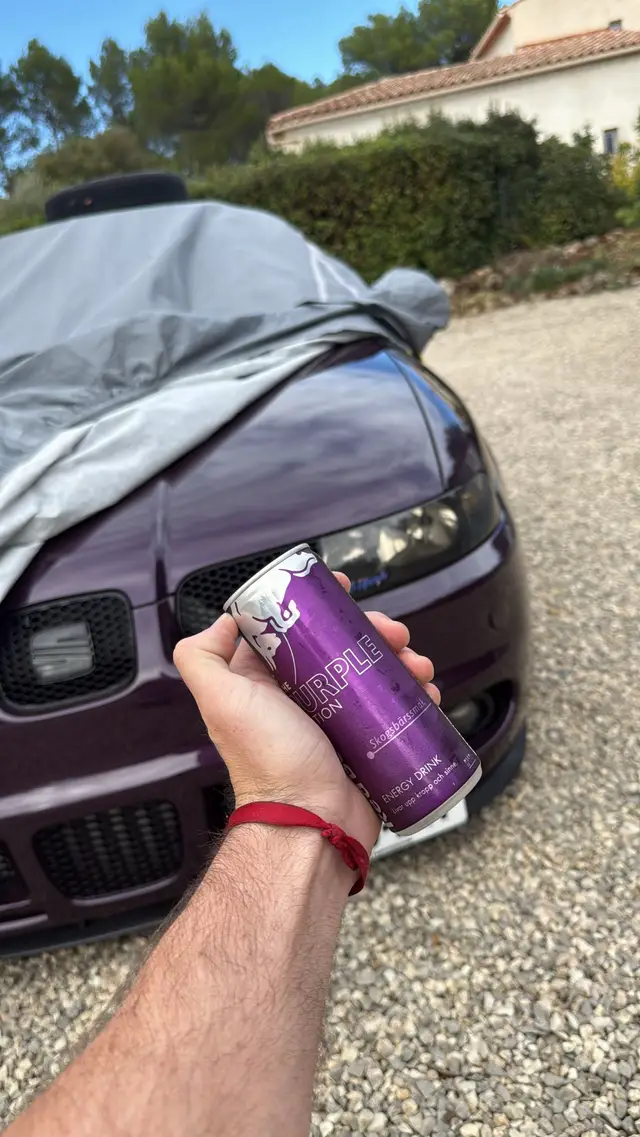 Tout ou rien avec elle 😍💜💜 à faire à suivre #tdipower #seatleon #leon #bagged #redbull 