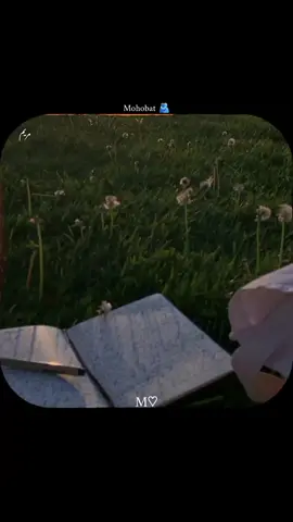 main tum sa tab tak mohobat krti rahun gi jab tak main mar ni jati is sa zada mohobat main tum sa ni kr sakti 🫵 #foryoupageoffical  #repostvideo  #1millionaudition  #grownmyaccount  #unfrezzmyaccounttiktok 