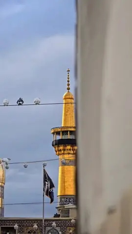 #foryou #foryoupage #trending 