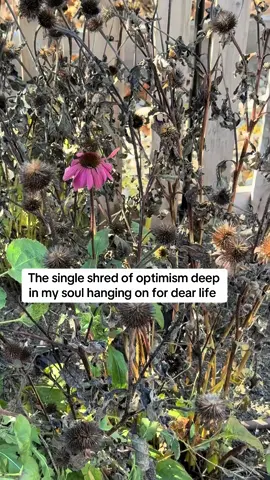 ✨go little rockstar✨