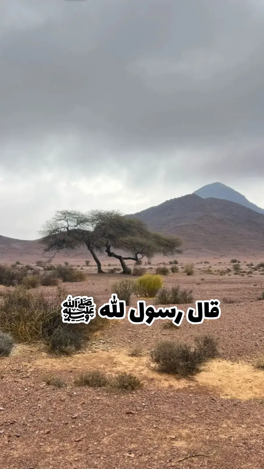 قال رسول الله ﷺ قال رسول الله صلى الله عليه وسلم #قال_رسول_الله_عليه_الصلاة_والسلام #اسمع_ماذا_يقول_النبي_صل_الله_عليه_وسلم #الهم_صلي_على_محمد_وأل_محمد #دعاء #اذكر_الله🔹 