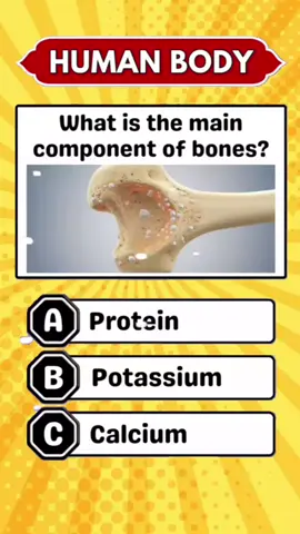 #creatorsearchinsights  #quiztime #quiztime #quizchalllenge  #quizshow 