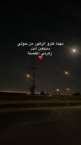 You are the favorite ❤️