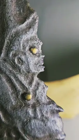 𝐏𝐔𝐒𝐀𝐊𝐀 𝐒𝐀𝐍𝐆 𝐇𝐘𝐀𝐍𝐆 𝐒𝐀𝐁𝐃𝐎 𝐏𝐀𝐋𝐎𝐍   Perwujudan Pusaka sosok pamomong danyang penguasa tanah Jawa.. Telah turun dari pertapaan suci untuk membimbing momongannya demi meredam gonjang-ganjing yg terjadi dinegeri tercinta Nusantara... Berusia ratusan tahun..  Cocok untuk diagem dijadikan KELANGENAN PRIBADI Benda ini membawa PULUNG bagi Sang pemilik atau tuan sejatinya.. Mampu memberikan wangsit gaib sebagai sarana Media untuk penghantar doa dalam sesaji kepada para Leluhur #RARE_ITEM