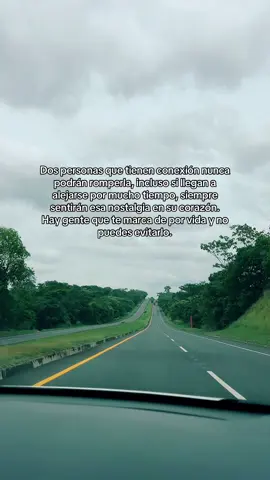 #lacometimossilvestredangond #fyp #tiktokviral #parati 