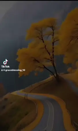 #godbless #tuhanyesusmemberkati #goodmorning #shalom #pujituhan 