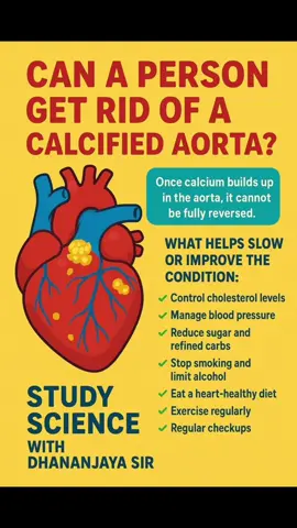 Can a Person Get Rid of a Calcified Aorta? Once calcium builds up in the aorta (the main artery from the heart), it usually cannot be fully reversed, because it represents permanent hardening of the vessel wall — similar to a “scar” forming inside. However, it can be slowed down and partly stabilized, reducing the risk of heart attack or stroke. ⸻ ✅ What Helps Slow or Improve the Condition:  1. Control cholesterol levels  • High LDL (“bad”) cholesterol promotes calcium and plaque formation.  • Statins (like Atorvastatin) lower cholesterol and help stabilize plaques.  2. Manage blood pressure  • High BP damages the vessel wall, speeding up calcification.  • Medicines like Losartan help protect arteries.  3. Reduce sugar and refined carbs  • Diabetes and high blood sugar increase arterial damage.  4. Stop smoking and limit alcohol  • Nicotine and alcohol accelerate vascular aging.  5. Eat a heart-healthy diet  • More vegetables, fruits, whole grains, fish, and nuts.  • Less processed food, fried oils, and red meat.  • Increase magnesium and vitamin K₂ (found in spinach, broccoli, fermented foods) — they help regulate calcium placement in the body.  6. Exercise regularly (brisk walking, cycling, swimming)  • Improves circulation and keeps arteries flexible.  7. Regular checkups  • Monitor blood cholesterol, BP, sugar, and calcium score (via CT scan). #studysciencewithdhananjayasir #anatomy #calcifiedaorta #scienceonlineclasses 