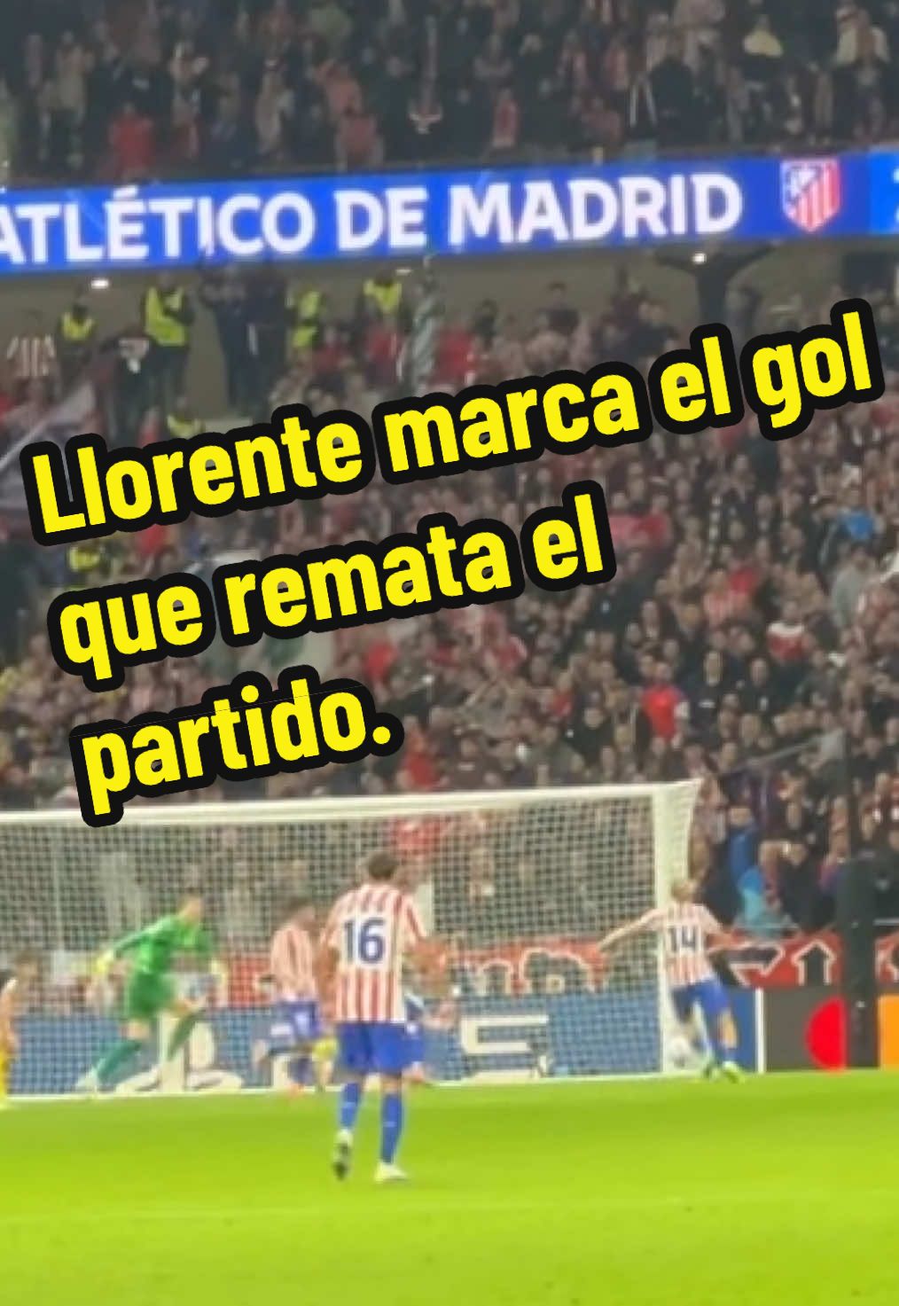 #championsleague #atleticodemadrid #unionsaintgilloise #llorente #gol 