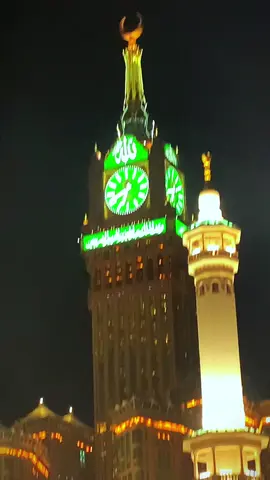 ##fo #video #VoiceEffects #stitch 