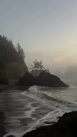 #foryouu #lyrics_songs #fypシ゚viral #persiansong #غمگین @dell.sard5 🖤گل خوار 