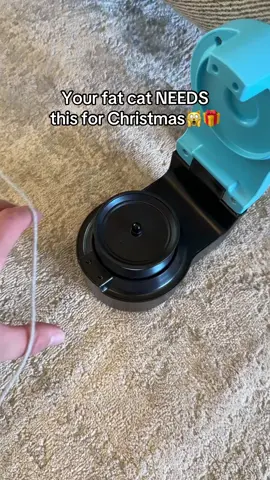 This is the best present for your furry friends! #cats #cattoys #kitten #fyp 