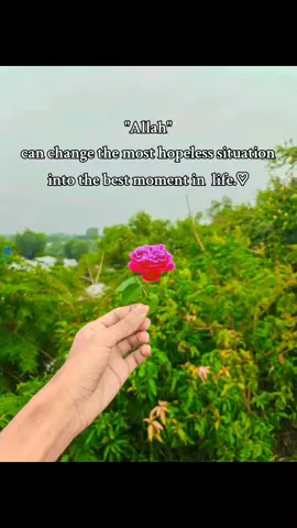 #trustallah #trusttheprocess #foryoupage #trend 