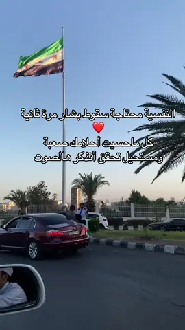 #علم #سوريا🇸🇾 #الشام #اكسبلور 