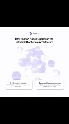 Cách thức hoạt động của các nút con người trong kiến ​​trúc chuỗi khối InterLink #ITLG #InterLink #interlinknetwork #ITL 