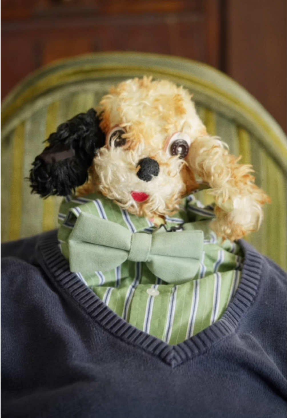 Gerber is innocent ❤️  #foryoupage #fyp #viral #foryou #fypシ 