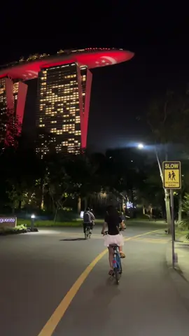 This view 🥹 #singapore #gardenbythebay 