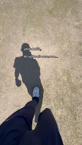 😣11-04 notes this day #foryoupage #fy #illu #viral #cricket