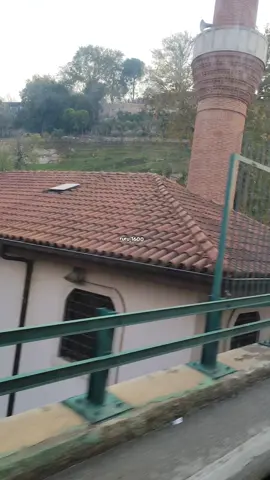 #قلبي #هدوء #الليل #قهوتي #رفيقة_دربي 