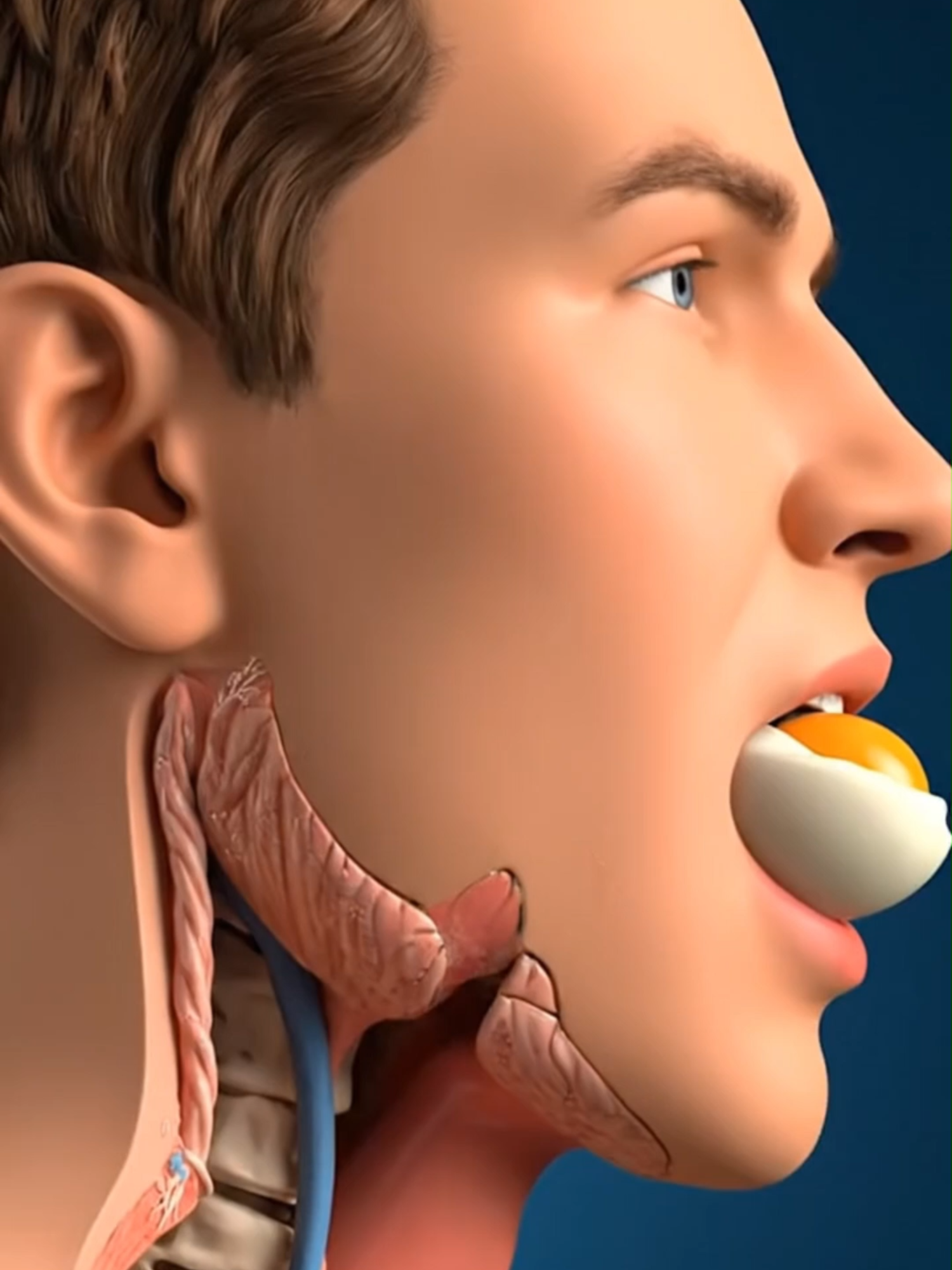 Ăn trứng mỗi ngày TĂNG CHOLESTEROL? 😱 Đúng! Nhưng đó là cholesterol TỐT (HDL)... nó đi 