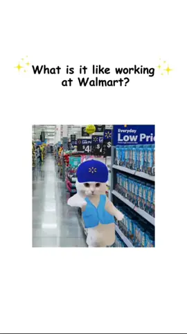 What it’s like working at Walmart explained by kitty #walmart #explainedbykitty #explainedbycats #working #adayinthelife