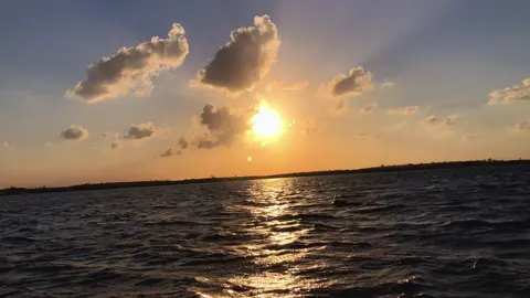 #هاني_الدويغري #اخر_اشي_نسختو💭🥀 