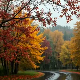 #autumn #rain #novemner #lucy #motionpicture