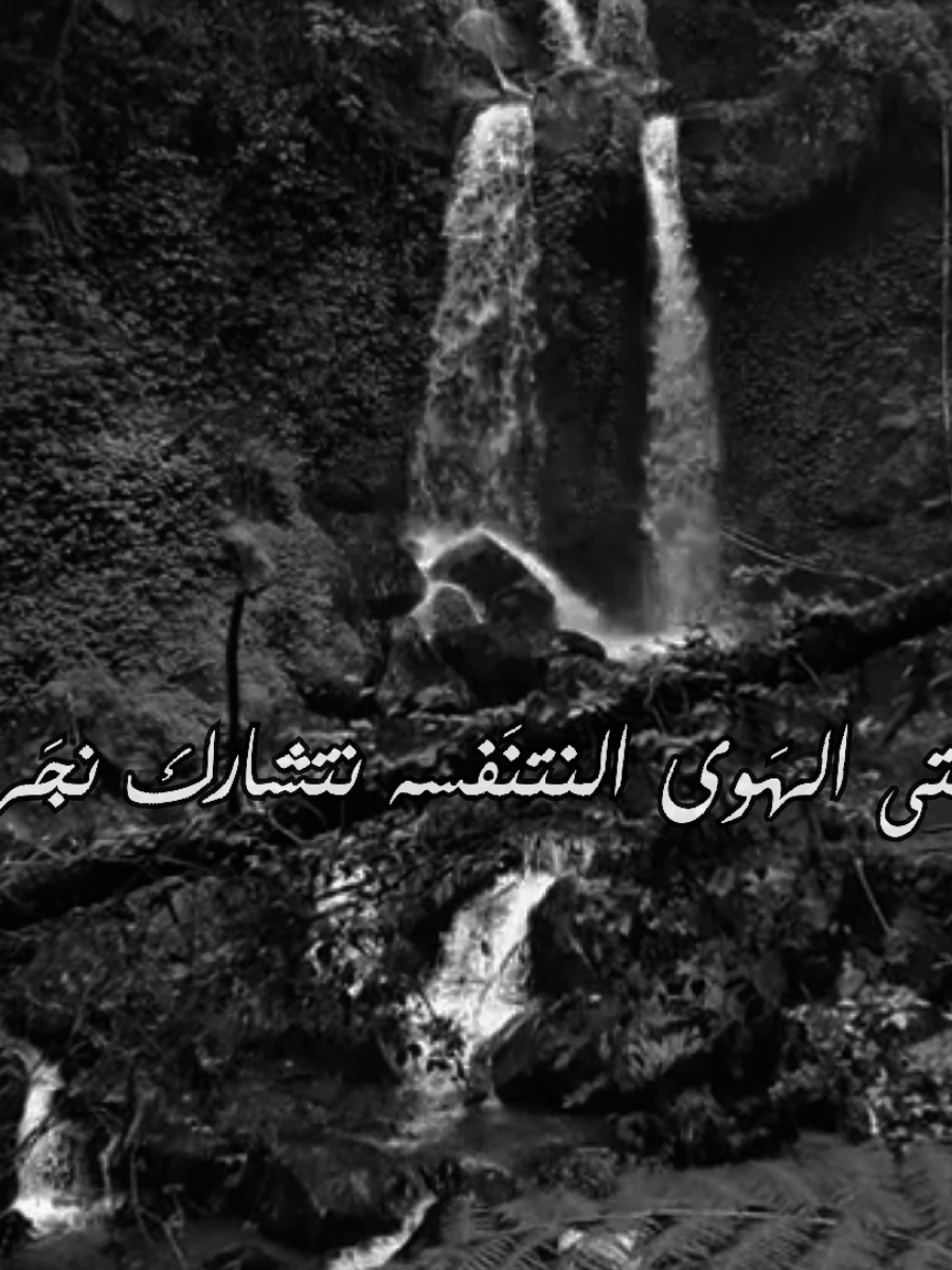 ع الحلوه والمُره . #باسم_الكربلائي #قصائد #foryou 