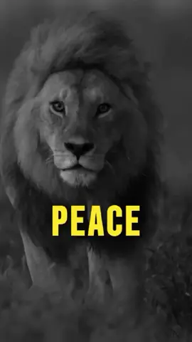 peace #motivation #inspiration #inspirationalquotes #foryou #fyp 