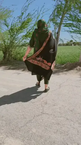 #kashmirwithstand #isb #standwithkashmir #pppppppppppppppppppppppppppppppppppp #pppppppppppppppppppppppppppppppppppp 