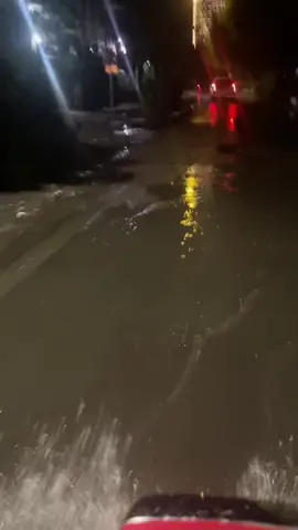 dan yap saya kebingungan skarang