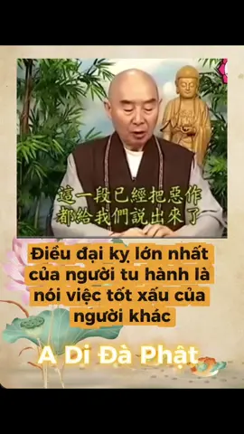 #nammobonsuthichcamauniphat #nammoadidaphat #nammodiatangvuongbotat #phatphapnhiemmau #tinhkhongphapsu 