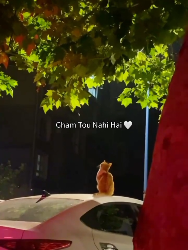 𝗖𝗵𝗮𝗻𝗻𝗮 𝗠𝗲𝗿𝗲𝘆𝗮 𝗔𝗿𝗶𝗷𝗶𝘁 𝗦𝗶𝗻𝗴𝗵 𝗦𝗼𝗻𝗴 🥹❤️‍🩹🫂 . . #foryoupagе #arijitsingh #arijitsinghlive #sadsong #fypviralシ 