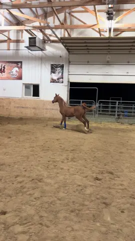 اللهم صلي وسلم على سيدنا محمد#فلسطين🇵🇸 #usa🇺🇸 #السعودية🇸🇦 #fyp #اذكروا الله