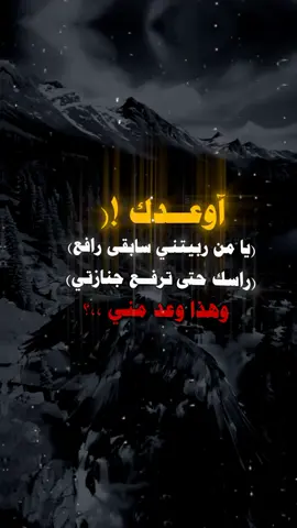 #fyp #fypage #fypシ゚ #عبارات 