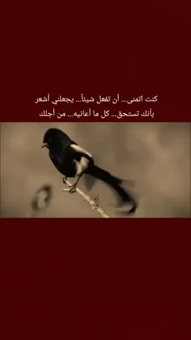 #ذواقين__الشعر_الشعبي  #عبارتكم_الفخمه📌📿  #لايك_فولو #صعدو_الفيديو 