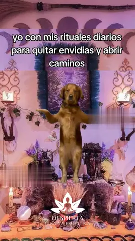 💃 Yo con mis rituales diarios para espantar la envidia y abrir caminos 😌✨ Si me ves bailando con incienso, palo santo y una vela… no estoy loca 😌 estoy manifestando mi paz y mi prosperidad 💫🔥 Porque uno no se protege una vez, ¡se protege todos los días con ritmo y buena vibra! 😎🧿 ¿Y tú? ¿Qué ritual nunca te puede faltar? 👀👇 💬 Cuéntame o deja un emoji 🕯️ si también tienes tu rutina anti-envidia activada jajaja #TarotHumor  #RitualesMágicos  #BrujitasDelTikTok  #EnergíaPositiva  #AbreCaminos         