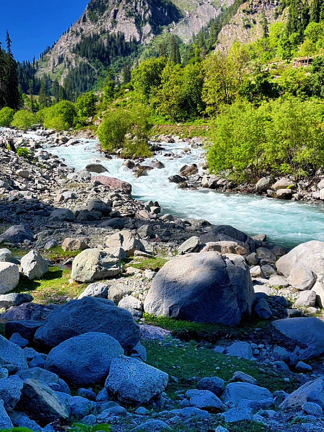 #creatorsearchinsights #nature #green #montains #beatiful @Shahid🌷🌷🌷🌷 @Tousif khan @#swat  #nature #photography 🌿 