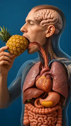 what happen when you eating pineapple inside your body?😱🤮👌 #HealthEducation #NutritionBasics #AIVideo #HealthyHabits #WellnessTips
