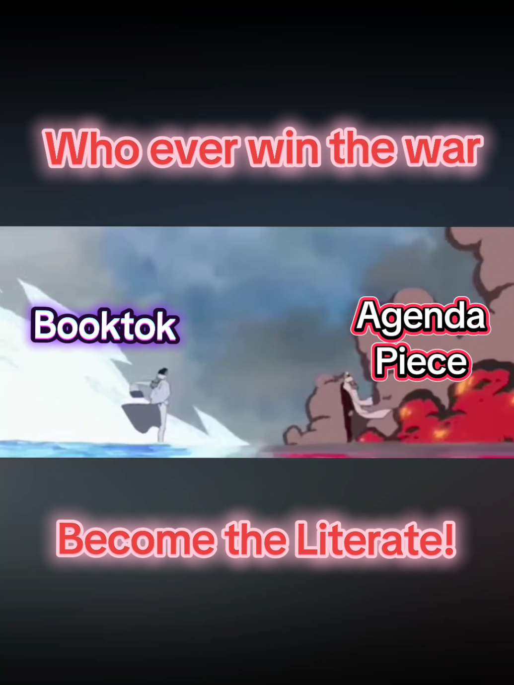 #onepiece #agendapiece #agenda #BookTok 