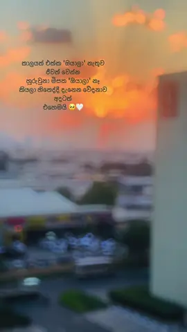 කාලයත් එක්ක 'ඔයාලා' නැතුව ජීවත් වෙන්න හුරුවුනා මිසක 'ඔයාලා' නෑ කියලා හිතෙද්දී දැනෙන වේදනාව අදටත් එහෙම්මමයි මගේ අම්මේ තාත්තේ 🥹🤍 #fypシ゚viral🖤tiktok #srilanka #uae🇦🇪 #අම්මා❤️🌎👑 #තාත්තා 