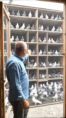 İnsanları Tanıdıkça Hayvanları Sevmeye Başladım 😉 #kesfetedusurbenii #kesfetedus #takipdestek #kesfet #onecikartbeni 