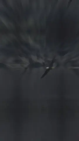 #CapCut 🎶😎🦅🎶 #كسبلور #قالب_جاهز_فخم_ #قونيا________________قونيا😌💙 #تصميم_فيديوهات🎶🎤🎬 