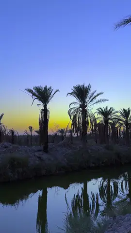 شوف الله شلون يعامل الناس #احمد_الوائلي . . . . . #الشيخ_احمد_الوائلي #الوائليون  #احمد_الوائلي #الوائلي