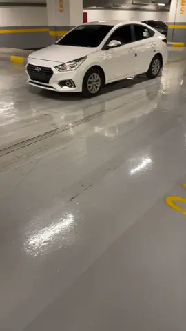 #yyyyyyyyyyyyyyyyyy #fyp #الشرق #وحيدين_الشرق #اكسنت 