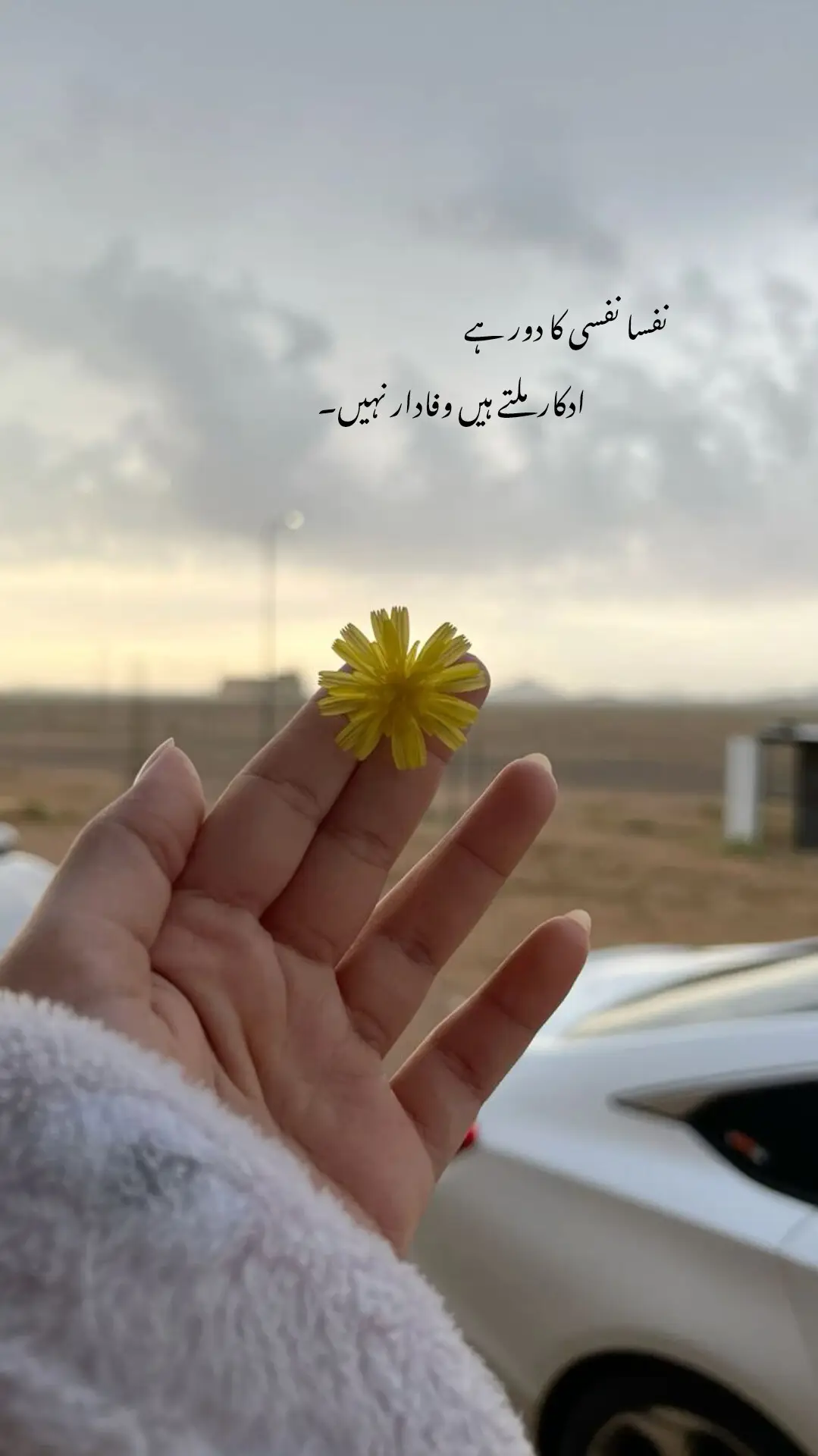 #fyp ...🥀...#fypviralシ 