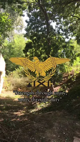 #thirdposition #theory #giovannigentile #corporativism #philosophy 