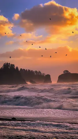 l love you 💋💋💋 l love you 🤗🤗🤗 l love you 💋💋💋